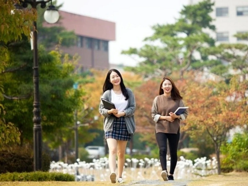 Du học Hàn Quốc visa D4-6