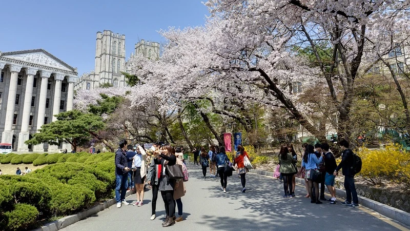 5 điều tiên quyết cần biết nếu muốn đi du học Hàn Quốc nhanh